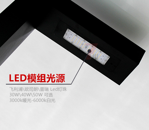 QDTYD-019現(xiàn)代園林步道7字形LED庭院燈上裝光源細(xì)節(jié)展示